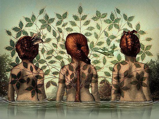 Drei Frauen verbunden durch eine Pflanze