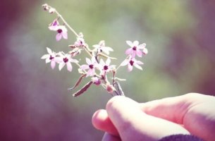 Hand, die Blumen hält