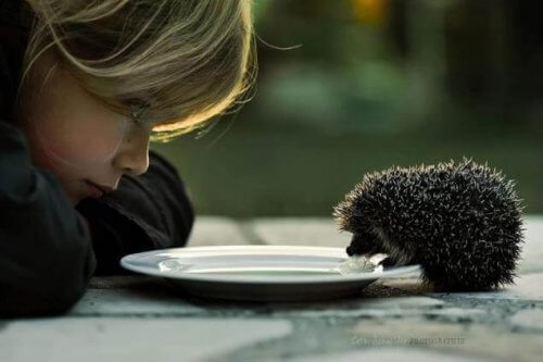 Igel, der mit Kind isst