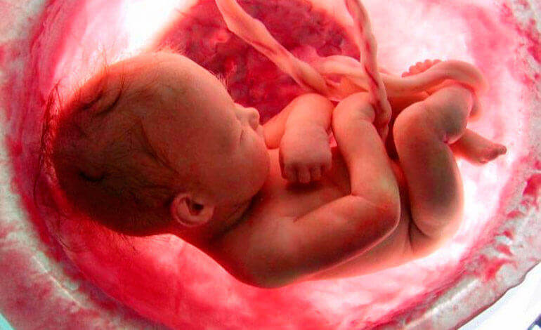 Fötus im Mutterleib