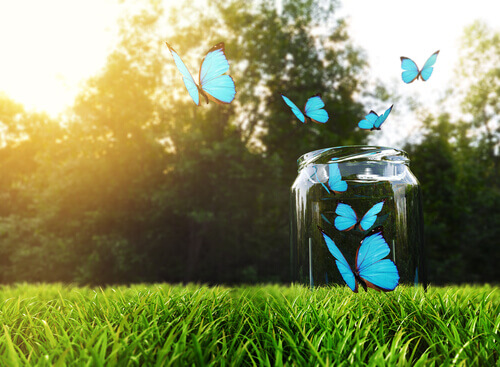 Die Glücksflaschen-Technik: Wie man sie anwendet und warum sie funktioniert