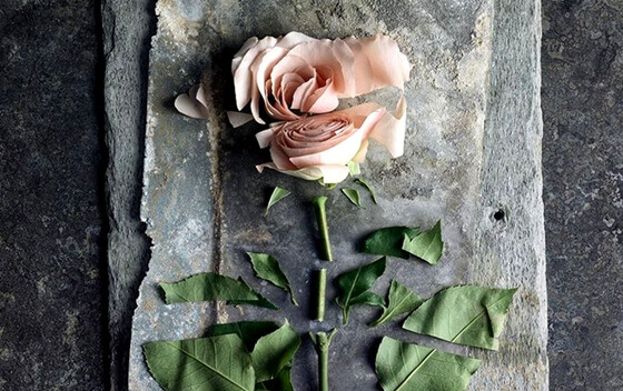 Passive Gewalt: tiefe Wunden, die oberflächlich aussehen