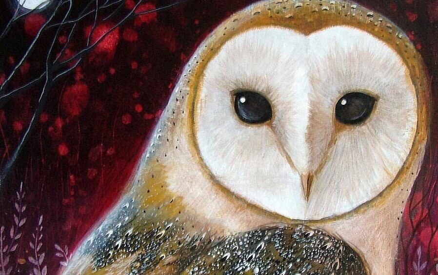 Zeichnung einer Eule