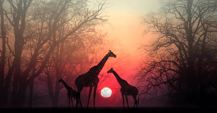 „Gib deiner Seele einen Moment, damit sie dich einholen kann“ - eine wunderschöne afrikanische Erzählung