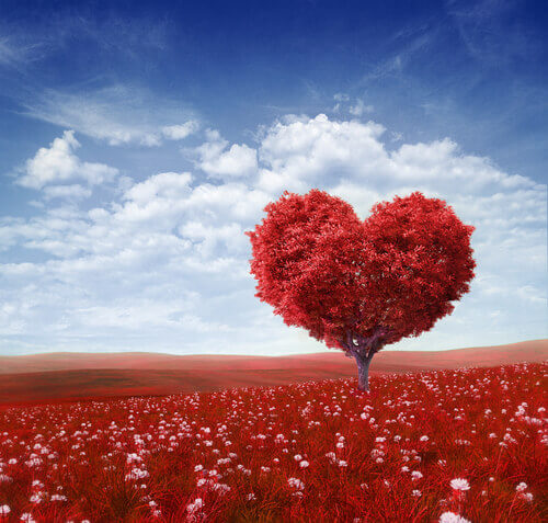 roter Baum in Herzform - Rot als Farbe der Liebe