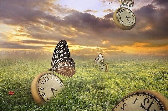 Uhren und Schmetterlinge