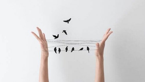 Vögel sitzen auf zwischen Händen gespannter Schnur