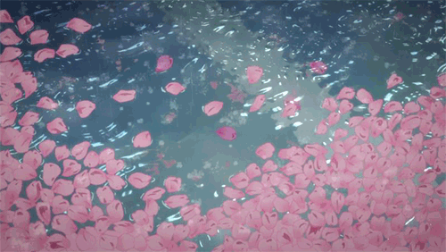 Regen, der auf einen Teich voller Rosenblätter fällt