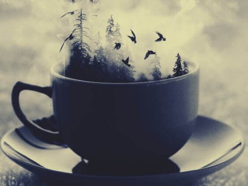 Wald, der sich in einer Tasse befindet