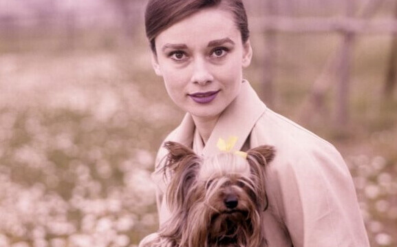 Audrey Hepburn mit Hund
