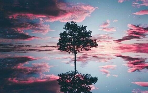 Baum unter lila Wolken