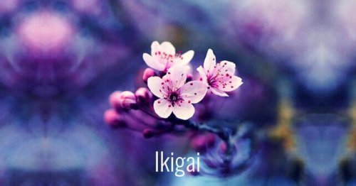 Ikagai in Form einer Blume