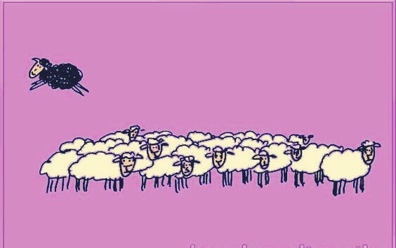 Die Geschichte vom schwarzen Schaf – oder wie wichtig Ehrlichkeit ist