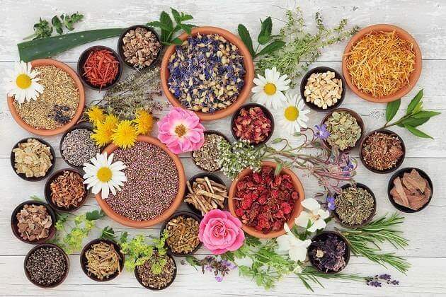 5 natürliche Anxiolytika