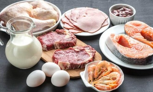 Lebensmittel, die reich an Vitamin B12 sind