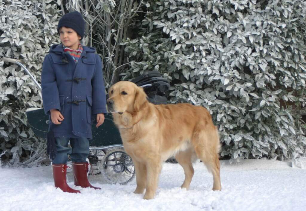 Ein unerwarteter Freund