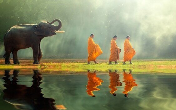 Elefant, der hinter drei Mönchen geht