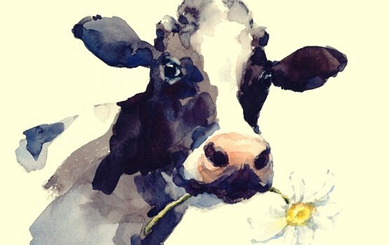 Die Geschichte der Kuh: Wenn die Routine uns einschränkt