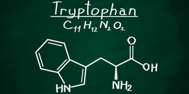 Tryptophan