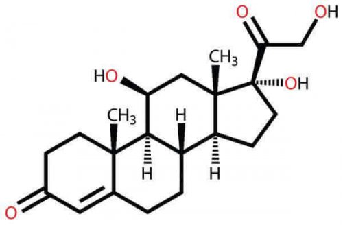 Chemische Struktur von Kortisol
