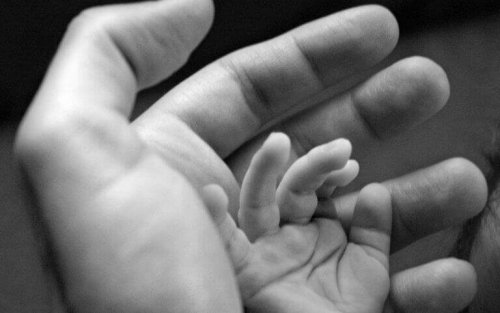 Hand eines Säuglings, die in der Hand eines Erwachsenen liegt