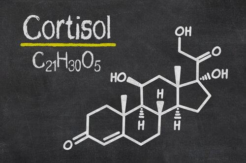 Kortisol, das Stresshormon