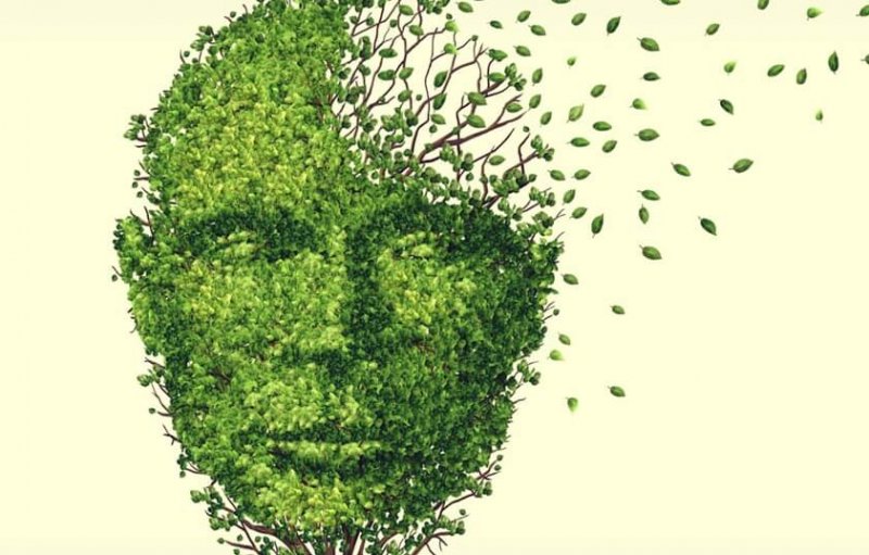 Gedächtnisverlust durch Stress? - Blätter fliegen von einem Baum weg, der einen Kopf bildet