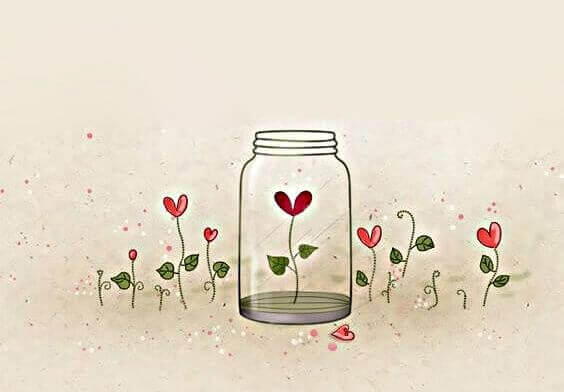 Blume wächst in einem Glas
