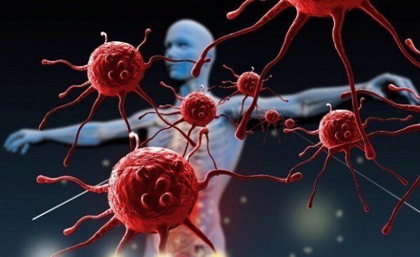 Wie du dein Immunsystem stärken kannst