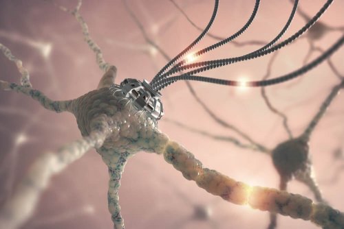 Neuronen
