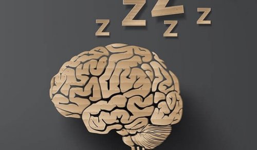 Schlafendes Gehirn