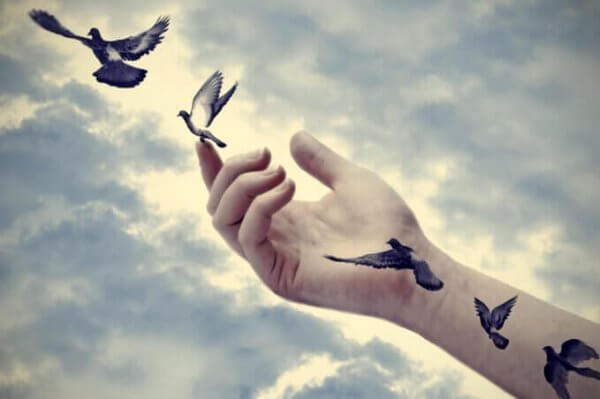 Vogel fliegen aus der Hand