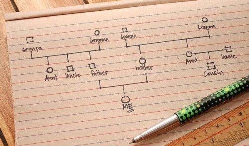 Wie du Schritt für Schritt ein Genogramm erstellen kannst