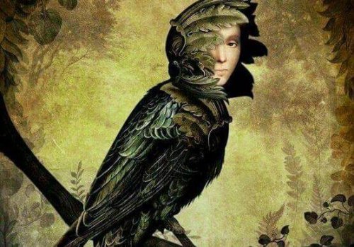 Vogel mit dem Gesicht eines Menschen