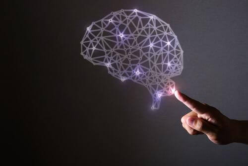 Vernetzungen im Gehirn