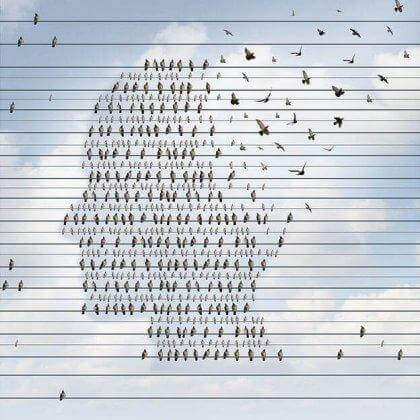 Harald Schultz-Hencke. Vögel, die einen menschlichen Kopf darstellen, während sie auf einer Oberleitung sitzen. 