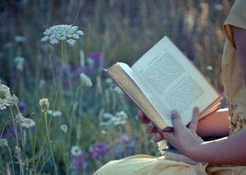 Frau liest ein Buch auf einer Wiese