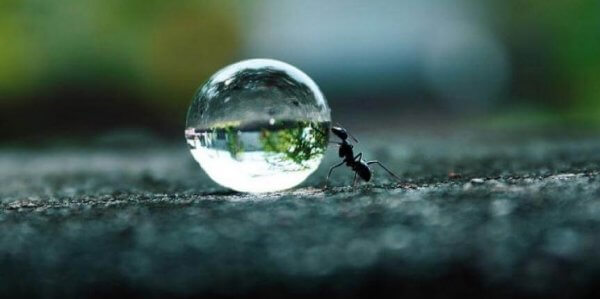 Ausdauer ist die Nahrung von Träumen