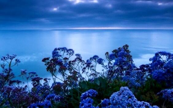 Farben der Entspannung: Welche Farbe Stress abbaut und Ruhe bringt