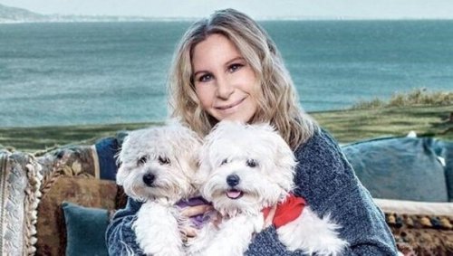Barbara Streisand mit Hunden