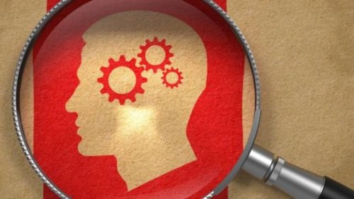 Gehirn mit der Lupe untersuchen