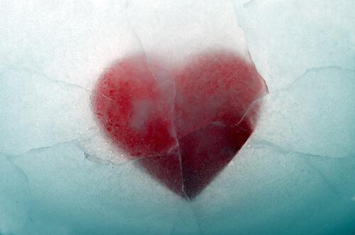 Ein rotes Herz liegt inmitten von Eis.