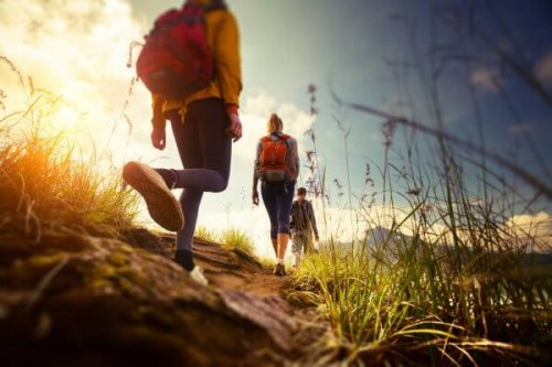 Mehrere Menschen wandern auf einem Feldweg.