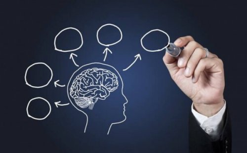 10 Gründe, wieso man Psychologie studieren sollte