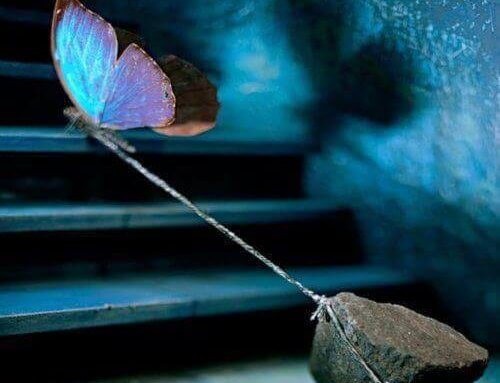 Ein Schmetterling zieht einen schweren Stein hinter sich her.