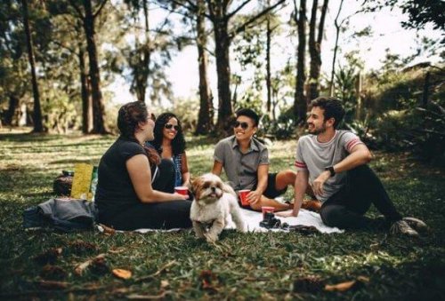 Freunde, die ein Picknick machen