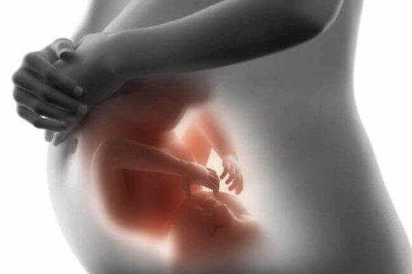 Die Darstellung eines Babys im Mutterleib.