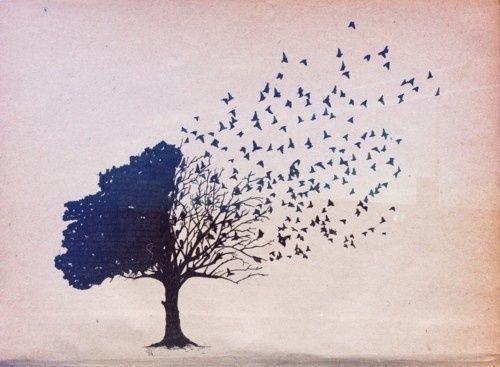 Blauer Baum aus dem Vögel fliegen