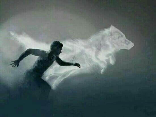 Ein Mann rennt mit einem Wolf.