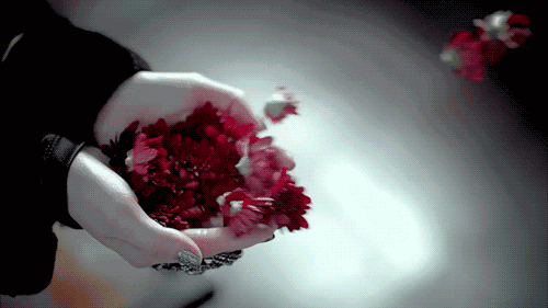 Rote Blüten fliegen aus geöffneten Händen
